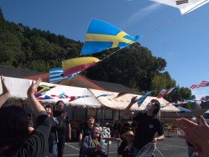 P161029311